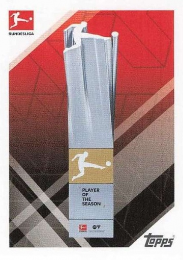 DFL-2 Player of the Season Trophy (TSBL2526)